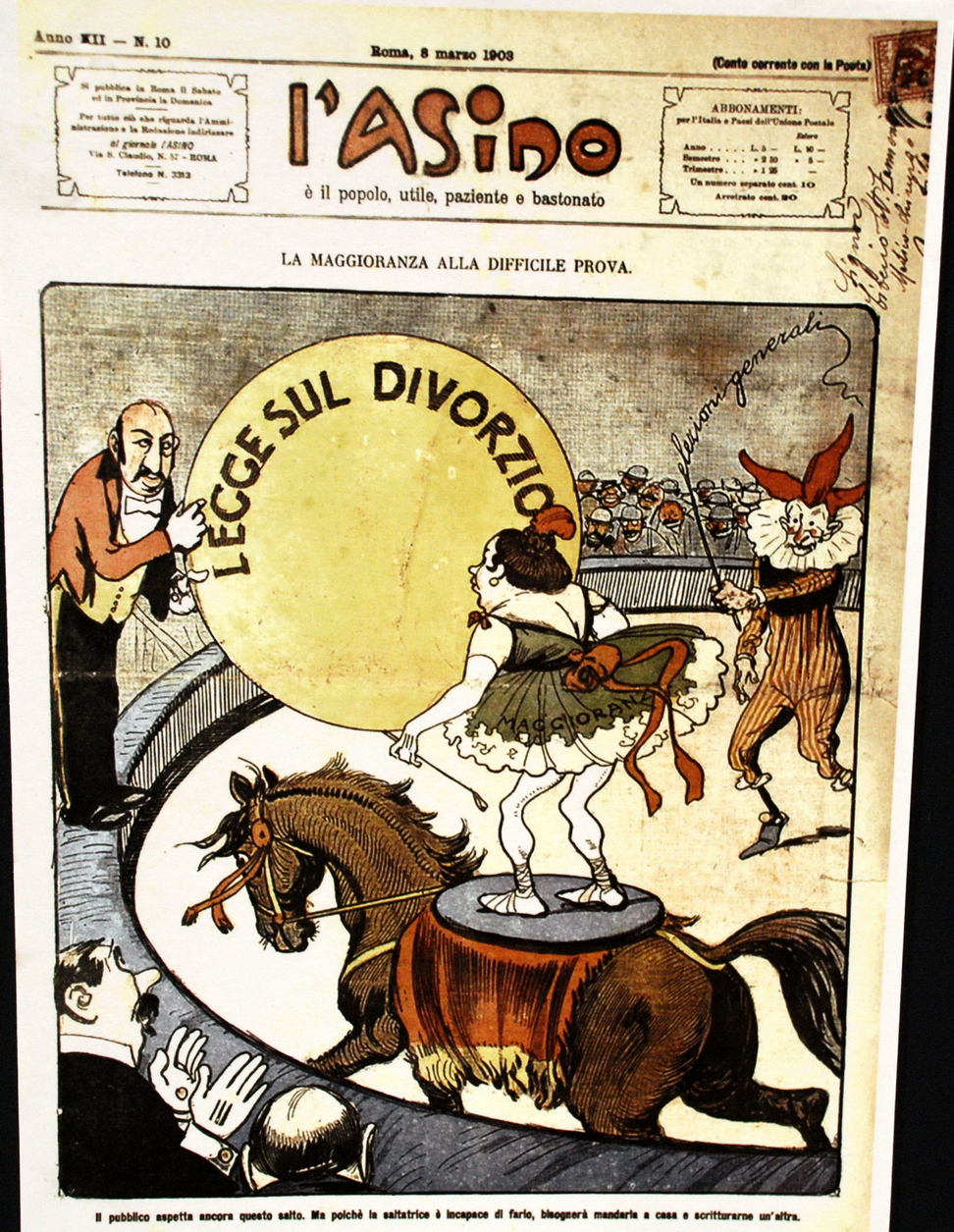 Asini, Muli, Corvi, Maiali_130.jpg